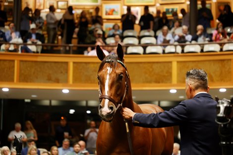 Records broken at Saratoga Select yearling auction