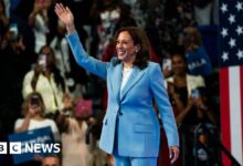 Kamala Harris officially selected as Democratic candidate