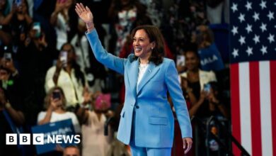 Kamala Harris officially selected as Democratic candidate