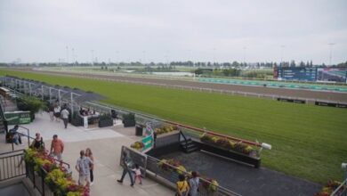 Fan Experience at the New Addition Center at Woodbine - Video -