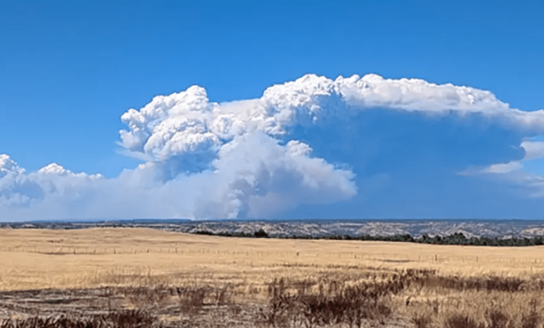 The New York Times Knows Nothing About Climate and #ParkFire – What Does Watts Have to Do With It?