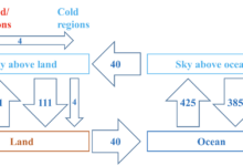 Role of Humans in the Global Water Cycle and Impacts on Climate Change