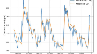 Extension of the linear carbon sink model – temperature matters