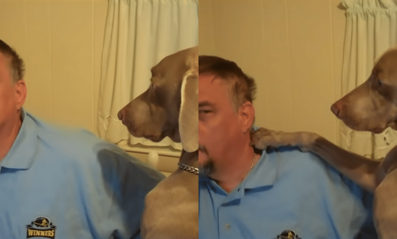 A dad's hilarious attempt to ignore his stubborn dog Gus backfires in the funniest way possible.