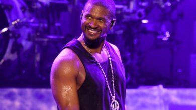 Usher Has Fan Ready To Risk It All With Shirtless Performance At Recent Concert