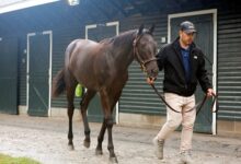 Hidden Lake Brings Shancelot Contingent to NY-Bred Sale