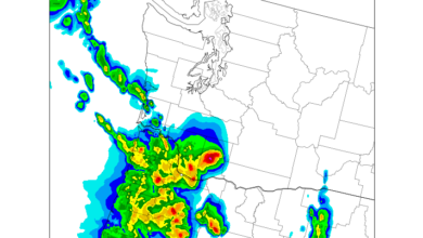 Potential for severe thunderstorms in western Washington/Oregon tonight