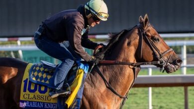 Baffert-trained Arabian Knight Retired at Hill 'n' Dale