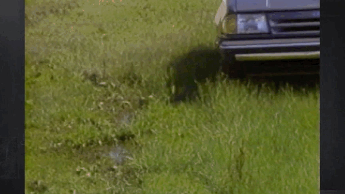 Watch the Multi-Role Shootout of Four-Wheel Drive Vehicles from 1987