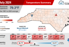 Infographic summarizing July 2024 temperatures, highlighting monthly average temperatures, deviations from normal, and comparisons to previous and recent years