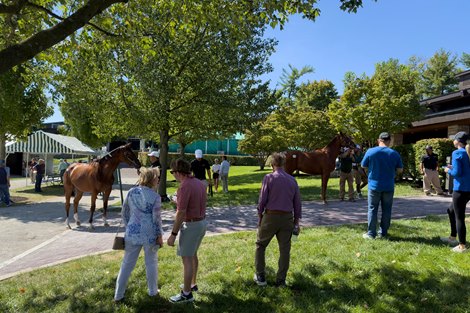 The President's Return to Keeneland?