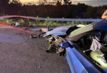 Corvette thief hides in swamp after wrecking stolen C7 during 100mph police chase