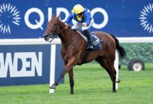 Goliath to run in Germany next; Dam to be sold to Goffs