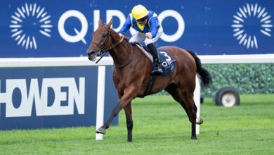 Goliath to run in Germany next; Dam to be sold to Goffs