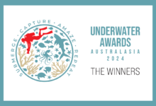 Winners of the Underwater Awards Australasia 2024