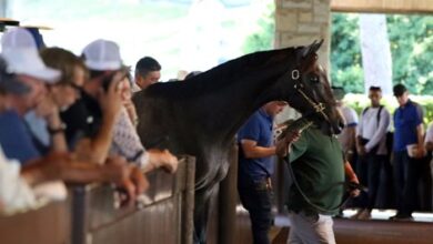 McKinzie Colt Leads Session at Keeneland September