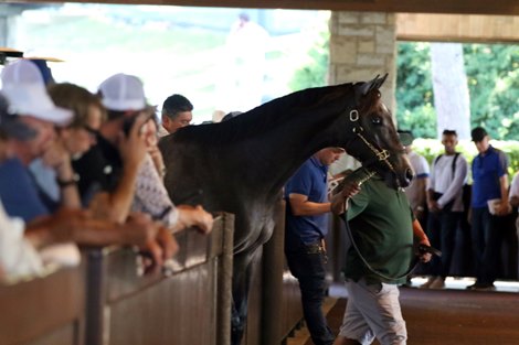 McKinzie Colt Leads Session at Keeneland September