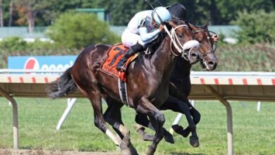 Sapling Victory Crazy Frazy Blame's 50th Stakes Winner