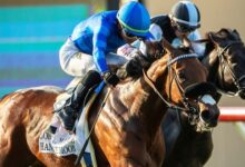 Hang the Moon upsets favorites in John C. Mabee Stakes