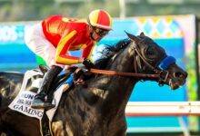 Gaming Continues Strong to Conquer Del Mar Futurity