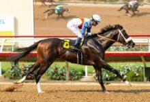 Bodacious gives Sire Smokem his first win