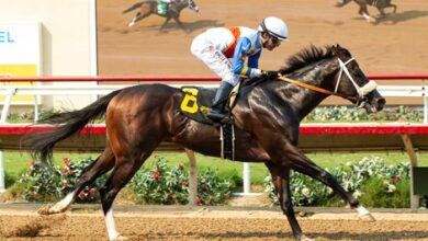 Bodacious gives Sire Smokem his first win