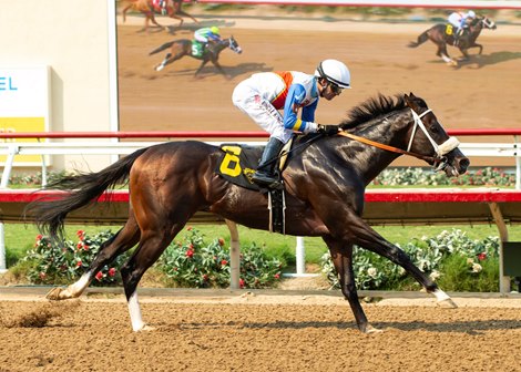 Bodacious gives Sire Smokem his first win