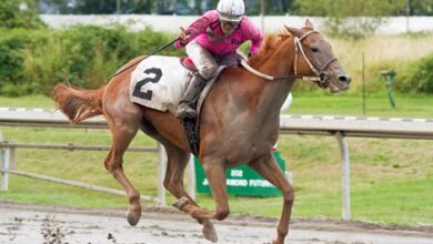 August Rain Wins British Columbia Derby