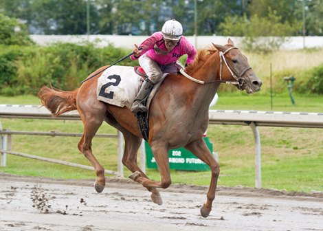 August Rain Wins British Columbia Derby