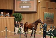 Nyquist Colts Lead Strong Day Four at Keeneland Sale