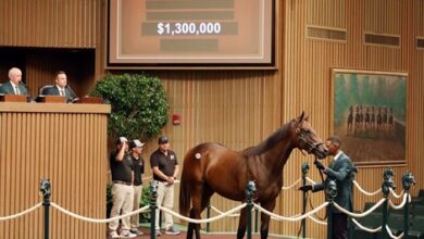 Nyquist Colts Lead Strong Day Four at Keeneland Sale