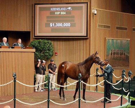 Nyquist Colts Lead Strong Day Four at Keeneland Sale