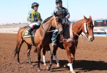 Flight connections could skyrocket at Zenyatta