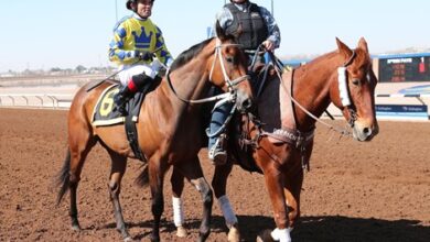 Flight connections could skyrocket at Zenyatta