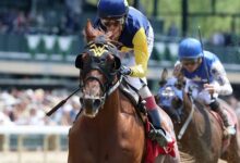 Ultima Grace returns to KY Downs after Queen Mary Fade