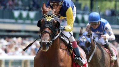 Ultima Grace returns to KY Downs after Queen Mary Fade