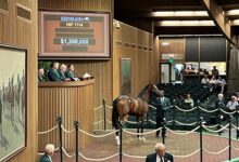 Nyquist Hits Seven-Figure Double With $1.2 Million Colt