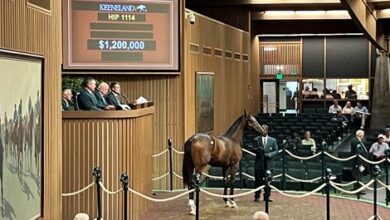 Nyquist Hits Seven-Figure Double With $1.2 Million Colt