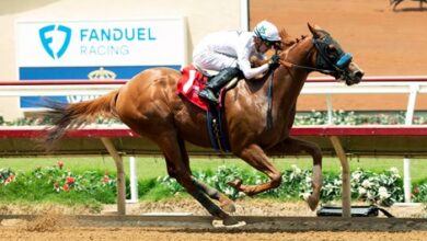 Heartland, Son of Justify, Will Join WinStar in 2025