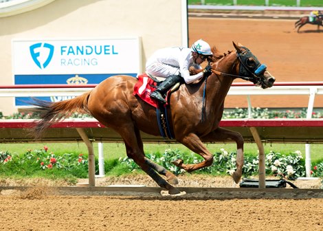 Heartland, Son of Justify, Will Join WinStar in 2025