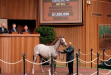 Strong Market Brings Book 2 at Keeneland in September