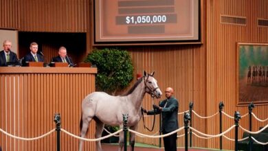 Strong Market Brings Book 2 at Keeneland in September