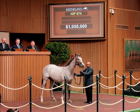 Strong Market Brings Book 2 at Keeneland in September