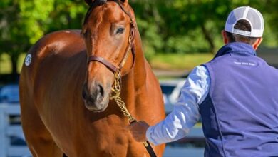 Justify Yearlings are a big draw to Keeneland in September.