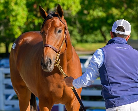 Justify Yearlings are a big draw to Keeneland in September.