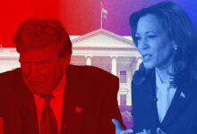 Kamala Harris Makes Donald Trump Look Silly and Small at 2024 Debate