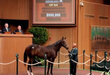 McKinzie Colt Takes $950,000 at Keeneland Sale