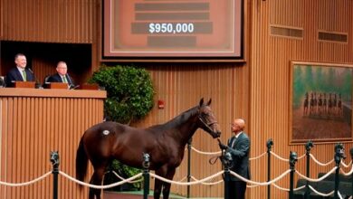 McKinzie Colt Takes $950,000 at Keeneland Sale