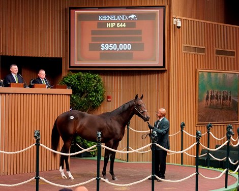 McKinzie Colt Takes $950,000 at Keeneland Sale