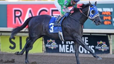 Petrov Sires First winner at Prairie Meadows